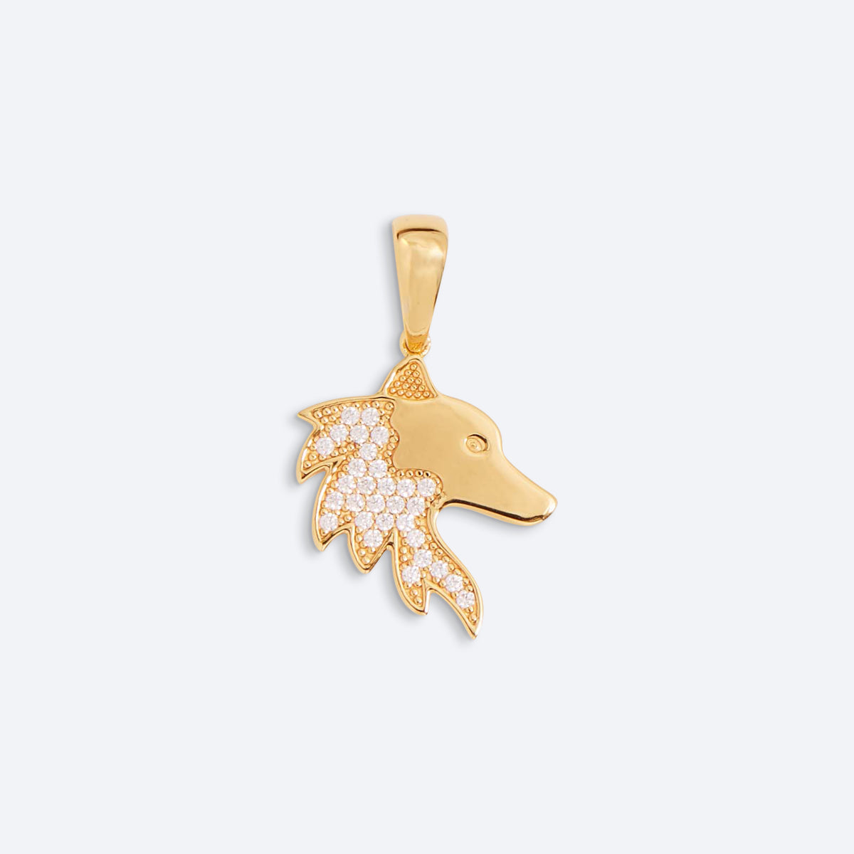 ÀWO Pendant (Voice)