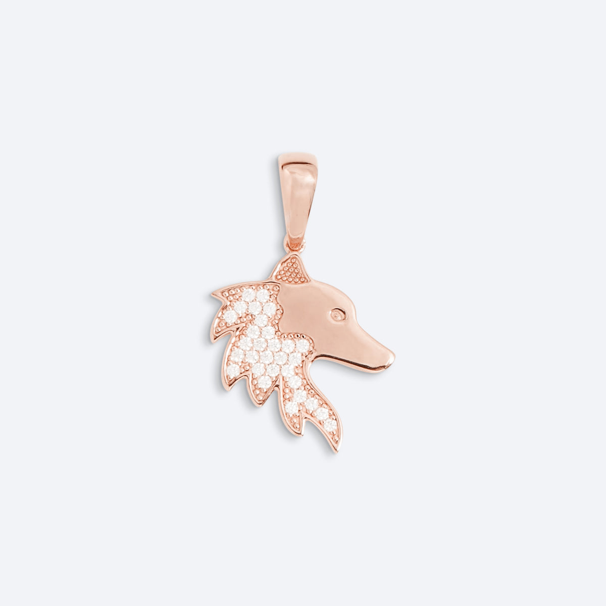 ÀWO Pendant (Voice)